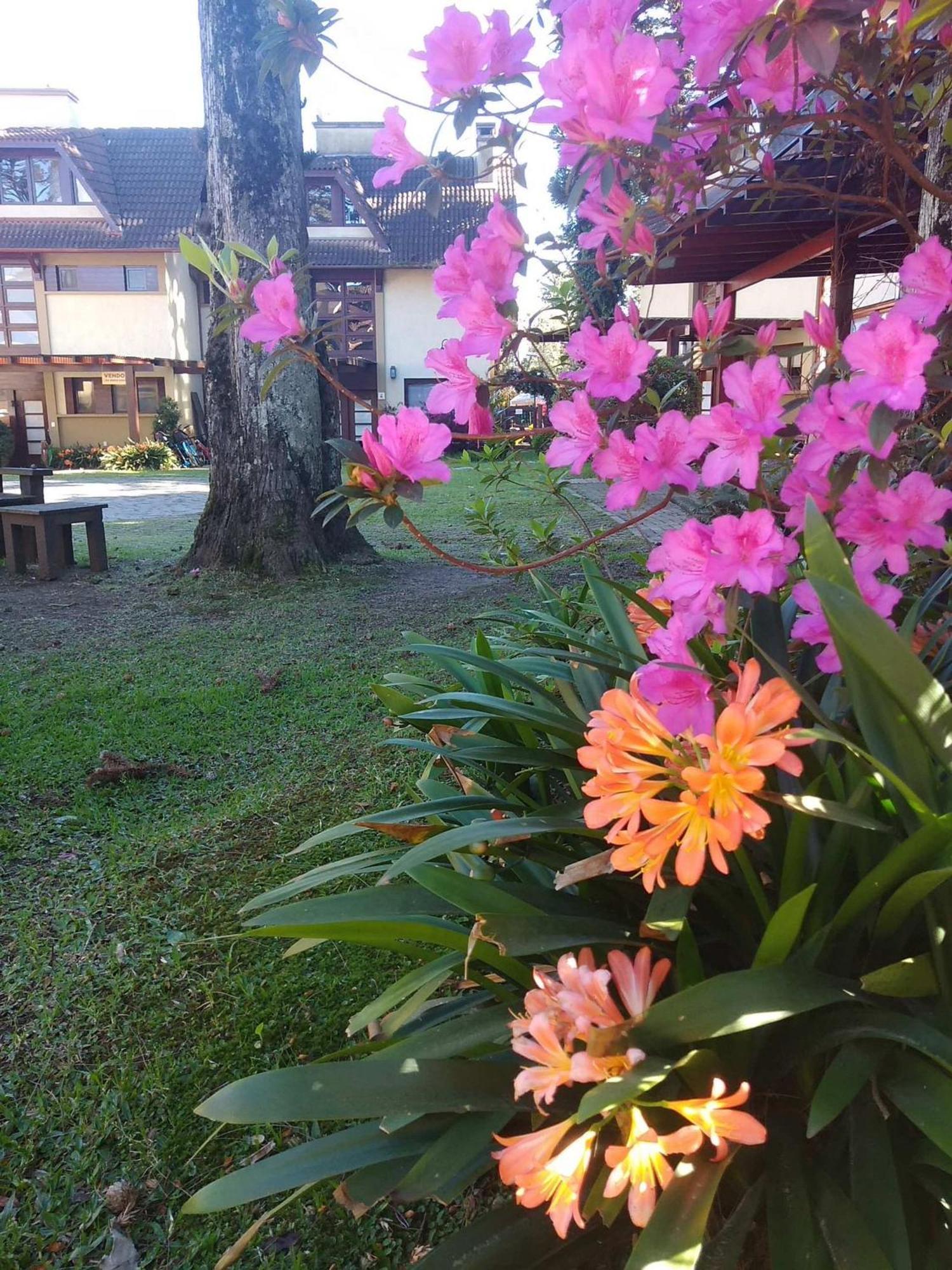 Estacao Das Hortensias, Seu Aconchego Em Gramado Apartment Exterior photo